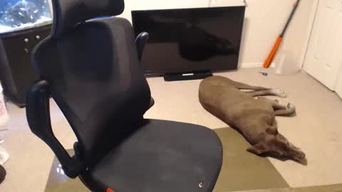 Snapshot of subryan03 chatting on October 15, 2025, 2:06 pm do i have lil tits or pecs online show from October 15, 2025, 2:06 pm