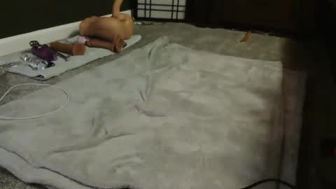 Suga cookie online show from December 9, 2024, 4:56 am