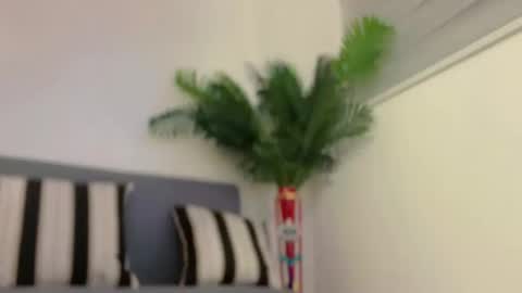 Snapshot of sugarhoneysw8 chatting on February 7, 2025, 7:29 am Jess online show from February 7, 2025, 7:29 am