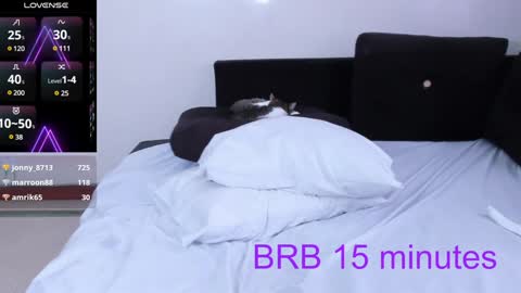 Snapshot of sumeragi_cat chatting on January 3, 2025, 6:35 pm Nicolle online show from January 3, 2025, 6:35 pm