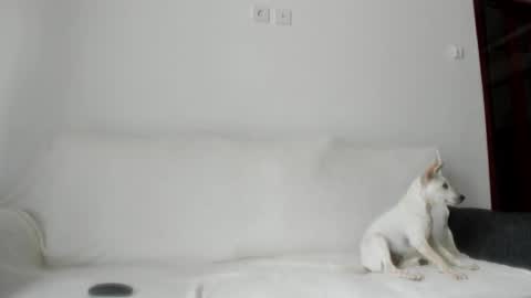 Snapshot of summer_sunshine_ chatting on October 21, 2025, 2:34 am Angel PVT show open online show from October 21, 2025, 2:34 am