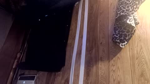 Snapshot of summerdivine69 chatting on February 22, 2025, 8:53 pm Summer Divine online show from February 22, 2025, 8:53 pm