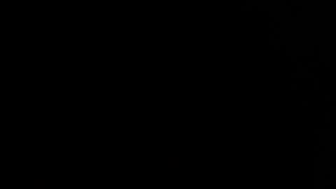 Summer online show from August 9, 2026, 4:28 am