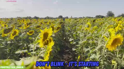 Snapshot of sunflower0907 chatting on October 30, 2025, 10:06 am Tina. Im topless model online show from October 30, 2025, 10:06 am