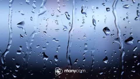 Snapshot of sunnybigboy88 chatting on October 7, 2025, 4:04 pm sven online show from October 7, 2025, 4:04 pm