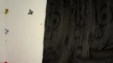 Snapshot of sunshine_days chatting on January 10, 2025, 12:17 am Annie online show from January 10, 2025, 12:17 am