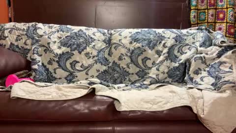 Snapshot of supremelifers chatting on January 14, 2025, 7:48 am Stony online show from January 14, 2025, 7:48 am