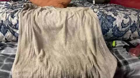 Snapshot of supremelifers chatting on March 3, 2025, 9:48 pm Stony online show from March 3, 2025, 9:48 pm