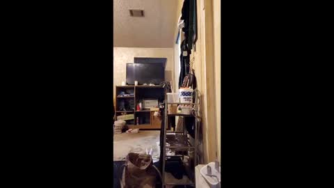 Snapshot of surfsup850 chatting on December 18, 2025, 3:01 am surfsup850 online show from December 18, 2025, 3:01 am