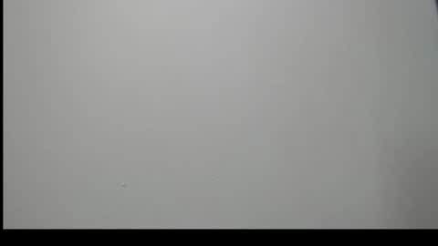 sussy leon online show from December 16, 2024, 12:16 pm