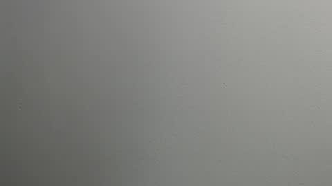 sussy leon online show from January 28, 2025, 12:11 pm