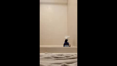 Snapshot of suthernswagga chatting on February 7, 2026, 10:57 pm suthernswagga online show from February 7, 2026, 10:57 pm