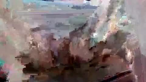 Snapshot of suttond4858 chatting on September 12, 2025, 7:03 pm suttond4858 online show from September 12, 2025, 7:03 pm