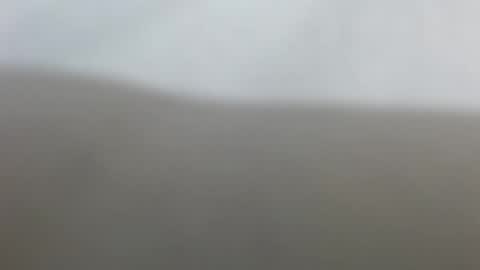 Suzy online show from February 17, 2026, 12:34 pm