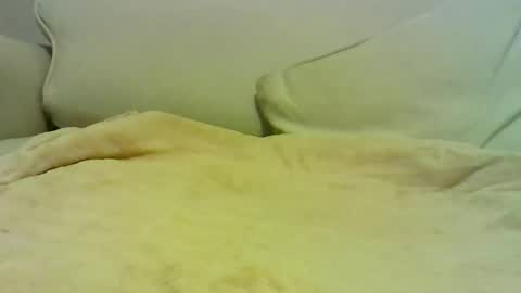 Snapshot of sven_eber chatting on January 10, 2026, 7:04 pm Peter online show from January 10, 2026, 7:04 pm