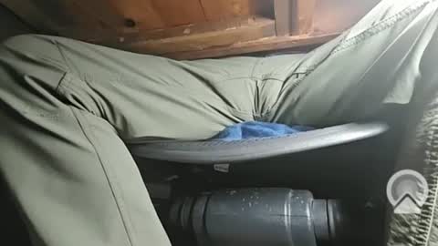 Snapshot of swamp486822 chatting on February 5, 2025, 6:13 am swamp486822 online show from February 5, 2025, 6:13 am