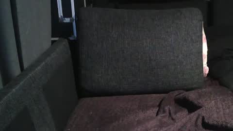 Snapshot of swartarn chatting on December 16, 2024, 5:17 am ArnSwart online show from December 16, 2024, 5:17 am