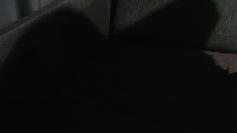 Snapshot of swartarn chatting on January 7, 2025, 11:03 pm ArnSwart online show from January 7, 2025, 11:03 pm