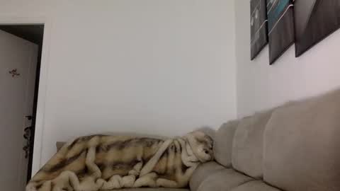 Snapshot of swee788485 chatting on November 14, 2025, 5:44 pm ALBA online show from November 14, 2025, 5:44 pm