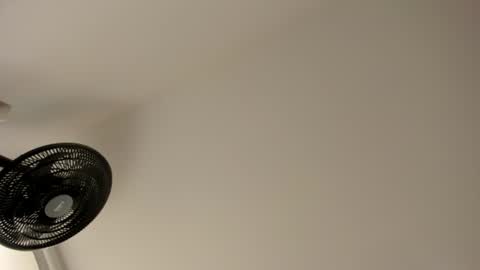 Snapshot of sweet__vanessa1 chatting on July 26, 2026, 8:16 pm Vanessa online show from July 26, 2026, 8:16 pm
