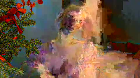 Miranda online show from December 30, 2024, 1:37 am