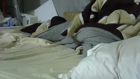 Bellah online show from March 8, 2026, 9:29 pm