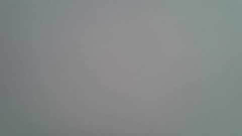 sweet_diva19 online show from February 11, 2026, 12:10 pm