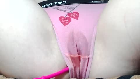 Kitten online show from June 25, 2026, 8:19 am