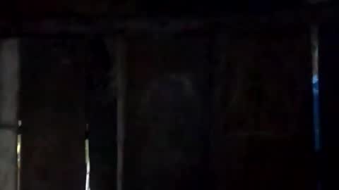 sweet_nessa30 online show from February 10, 2026, 6:17 am