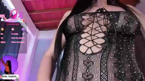 tamy  online show from June 11, 2026, 12:14 pm