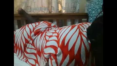 Snapshot of sweetblacklady chatting on November 25, 2025, 7:08 am MELVIN online show from November 25, 2025, 7:08 am