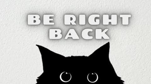       Independent model online show from January 23, 2025, 3:37 am