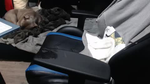 Snapshot of sweetgesus chatting on November 6, 2025, 3:57 pm sweetgesus online show from November 6, 2025, 3:57 pm