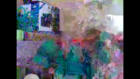 sweetib1 online show from February 27, 2025, 9:32 am