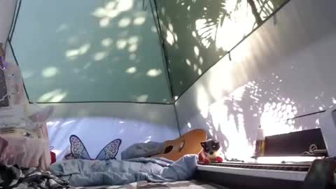 Snapshot of sweetnissapril chatting on November 21, 2025, 4:16 pm April online show from November 21, 2025, 4:16 pm