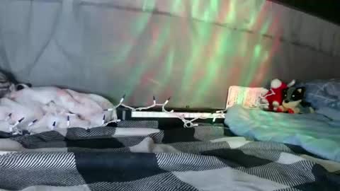 Snapshot of sweetnissapril chatting on January 12, 2026, 9:03 am April online show from January 12, 2026, 9:03 am