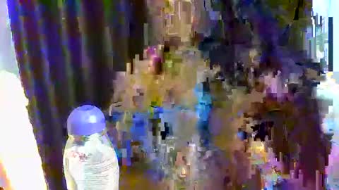 sweet online show from December 17, 2025, 10:21 am