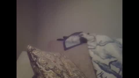 Snapshot of sweetsforu326 chatting on January 26, 2025, 1:41 am sweetbrowneyes623 online show from January 26, 2025, 1:41 am