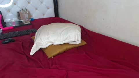 Snapshot of sweetslyvie chatting on July 13, 2026, 12:19 pm sweetslyvie online show from July 13, 2026, 12:19 pm