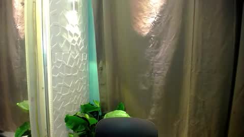 sweetspecial_jessyxx online show from April 14, 2026, 6:58 pm