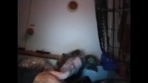 sweetsugar64 online show from March 8, 2026, 6:17 am