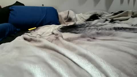 Snapshot of sybadog chatting on February 19, 2026, 11:50 am sybadog online show from February 19, 2026, 11:50 am