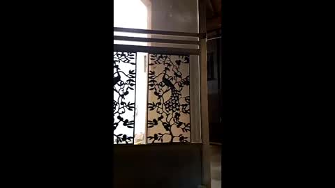 syevecrl online show from February 9, 2026, 2:04 am