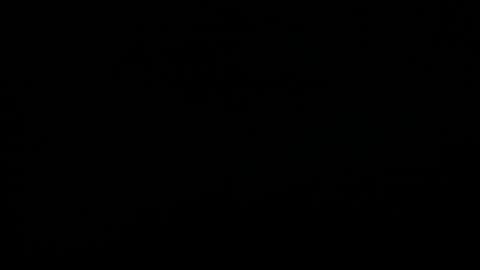 Snapshot of synop_sis chatting on November 18, 2025, 8:30 am Mila online show from November 18, 2025, 8:30 am