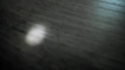 Snapshot of synop_sis chatting on November 30, 2025, 1:42 am Mila online show from November 30, 2025, 1:42 am