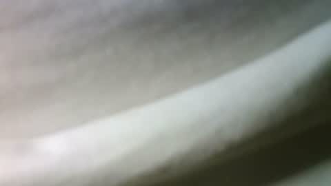 Snapshot of syrius57920 chatting on February 22, 2025, 5:46 pm syrius57920 online show from February 22, 2025, 5:46 pm