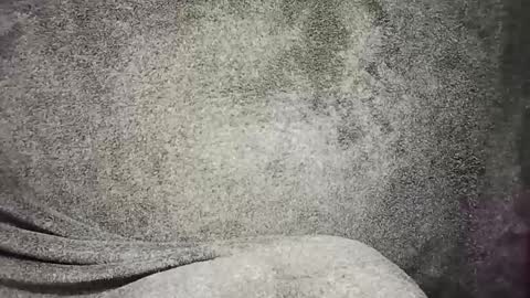 t0ny_cawk online show from December 22, 2024, 7:54 am