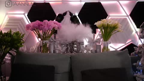 Snapshot of taanni_bc chatting on January 31, 2025, 6:13 am TAANNI online show from January 31, 2025, 6:13 am