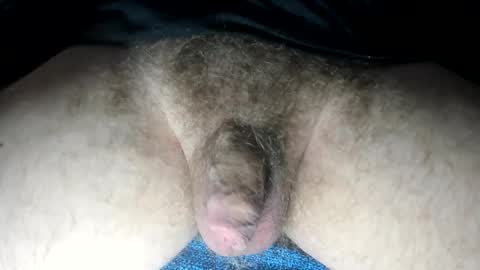 Snapshot of tacosize chatting on February 13, 2025, 3:35 pm mr taco online show from February 13, 2025, 3:35 pm