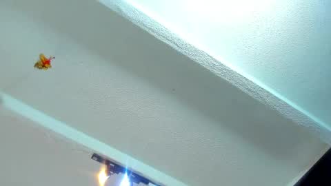 Snapshot of tafari_1 chatting on May 22, 2026, 11:05 am Tafari Zulu online show from May 22, 2026, 11:05 am